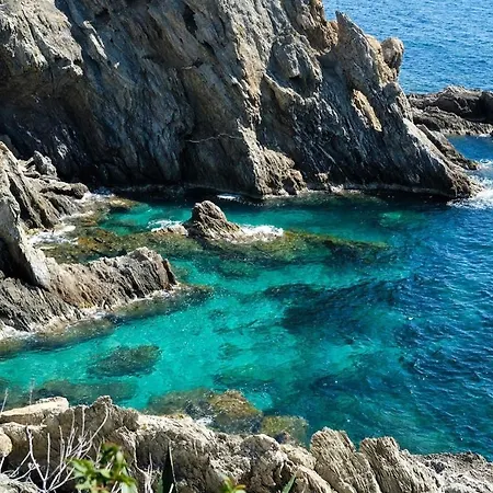 T1 - Presqu'ile De Giens - La Tour Fondue Lägenhet Hyères