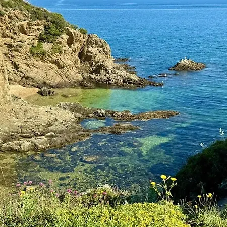 Lägenhet T1 - Presqu'ile De Giens - La Tour Fondue